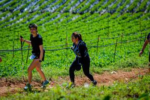 BIB: 
                            <button type="button" onclick="openModal(19164455)" class="btn btn-primary btn-sm float-right btn-popup" data-toggle="modal" data-target=".modal-high-quality">
                        <i class="fas fa-shopping-cart"></i> Add to Cart
                    </button>
                                            <button type="button" onclick="isThisMe(19164455, true)" class="btn btn-success btn-sm float-right btn-popup btn-isme hidden" data-toggle="tooltip" data-placement="bottom" title="นี่คือรูปของคุณใช่ไหม คลิกที่นี่เพื่อเอาเข้าอัลบั้ม">
                        <i class="fas fa-plus"></i> Add to album
                    </button>
                    <button type="button" onclick="isThisMe(19164455, false)" class="btn btn-warning btn-sm float-right btn-popup btn-isnotme hidden">
                        <i class="fas fa-ban"></i> Remove from album
                    </button>